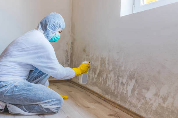 Mold Remediation specialist working in Elkwood